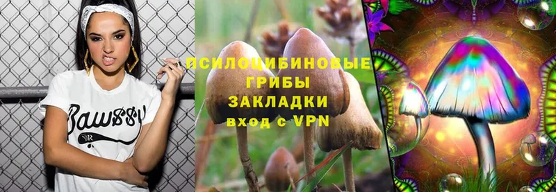 купить  цена  Белоярский  Псилоцибиновые грибы GOLDEN TEACHER 